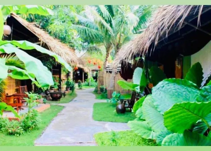 Under The Coconut Tree Hoi An